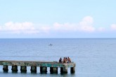 Friends sit on a dock amidst a sea of blue water.